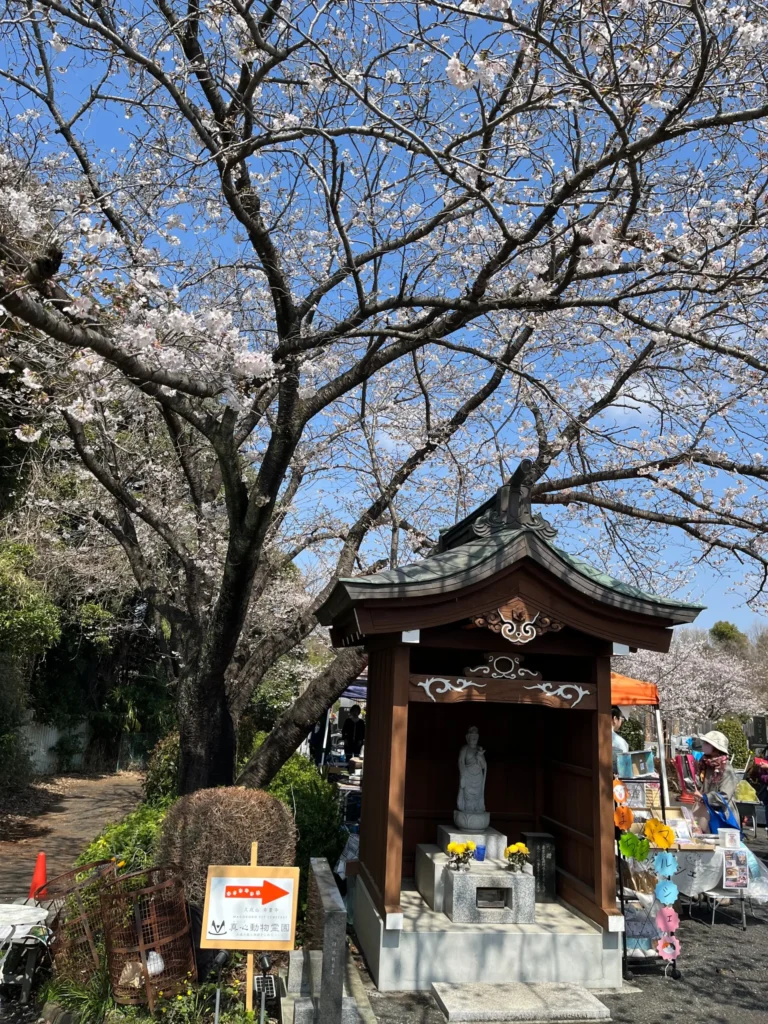 春のお彼岸動物供養会 桜と観音様