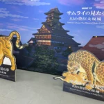 NHK VR「サムライの見た夢~幻の豊臣大坂城~」
